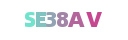 SE38AV